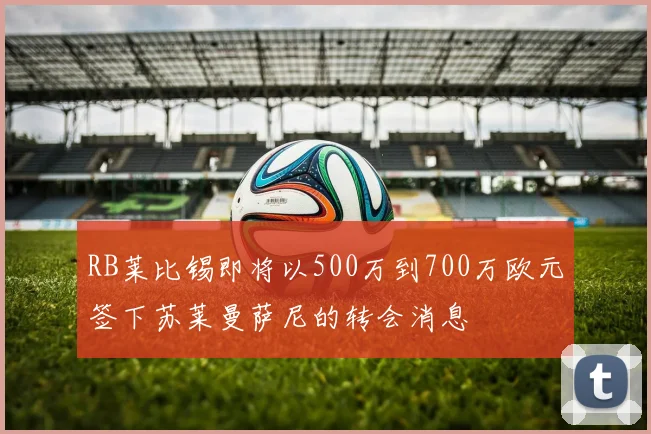 RB莱比锡即将以500万到700万欧元签下苏莱曼萨尼的转会消息