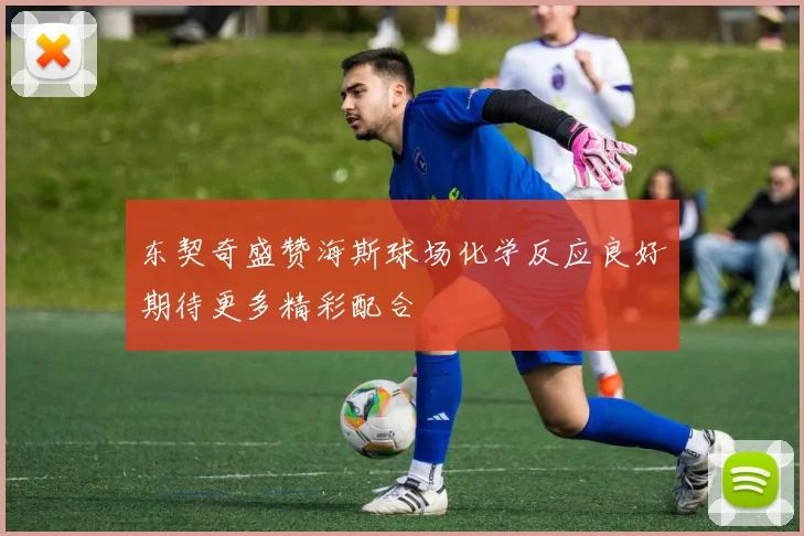 东契奇盛赞海斯球场化学反应良好期待更多精彩配合